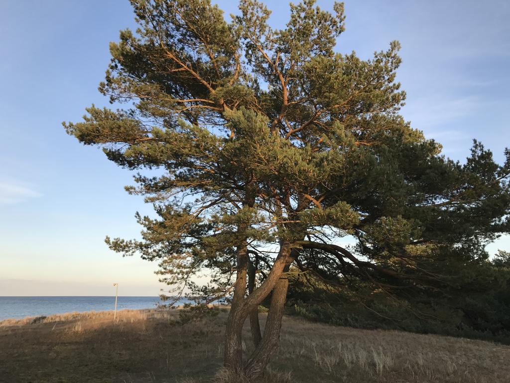 Zum Nordstrand Prerow Exterior photo